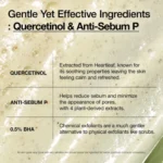 Anua Heartleaf Quercetinol Cleansing Foam, Korean facial cleanser for pores and blemishes